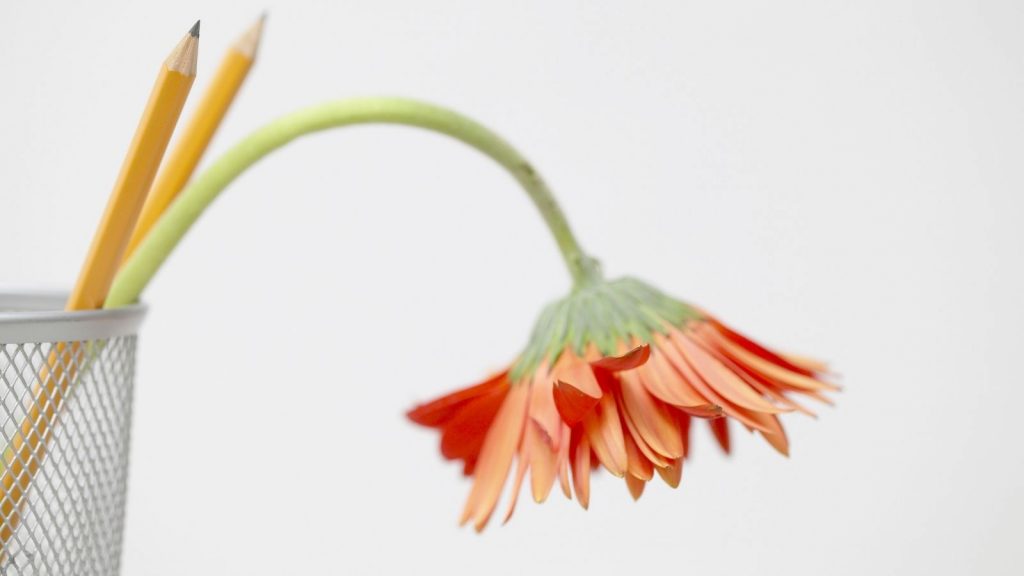 claves fracaso marketing educativo